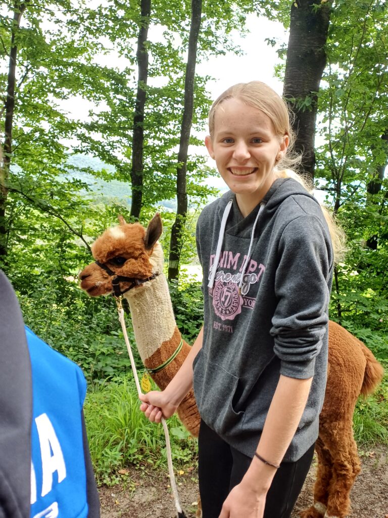 Alpaka Wanderung in Wolfsgraben