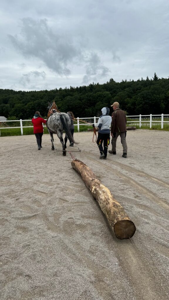 Ein Schnuppertag rund ums Thema Holzrücken!