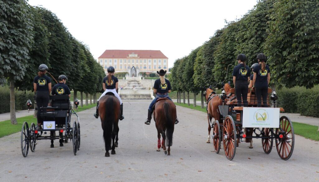 Schloss Hof Pferdefest