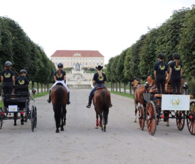 Schloss Hof Pferdefest