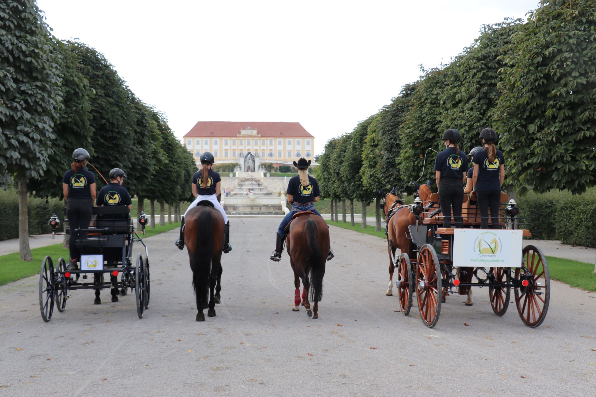 Schloss Hof Pferdefest