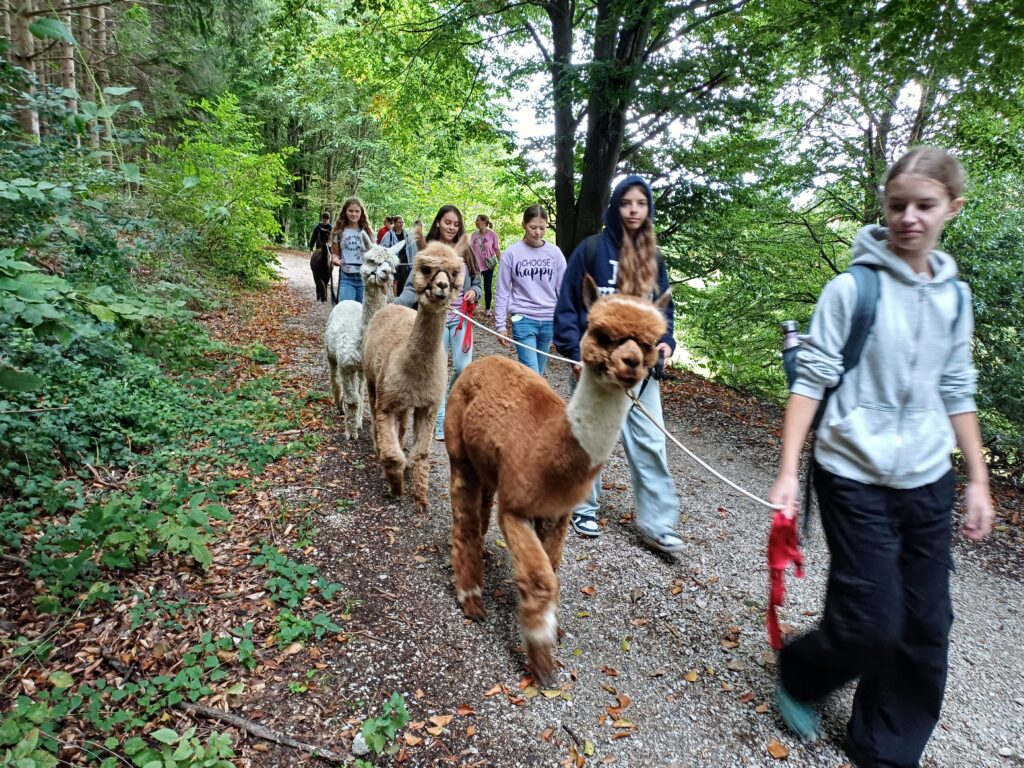 Ein unvergesslicher Tag für die 1aP