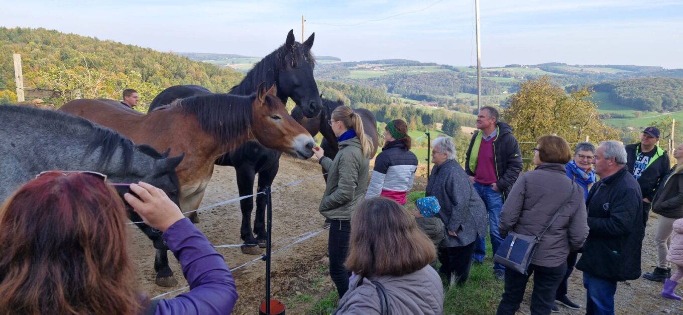 Pferde Land und Leute