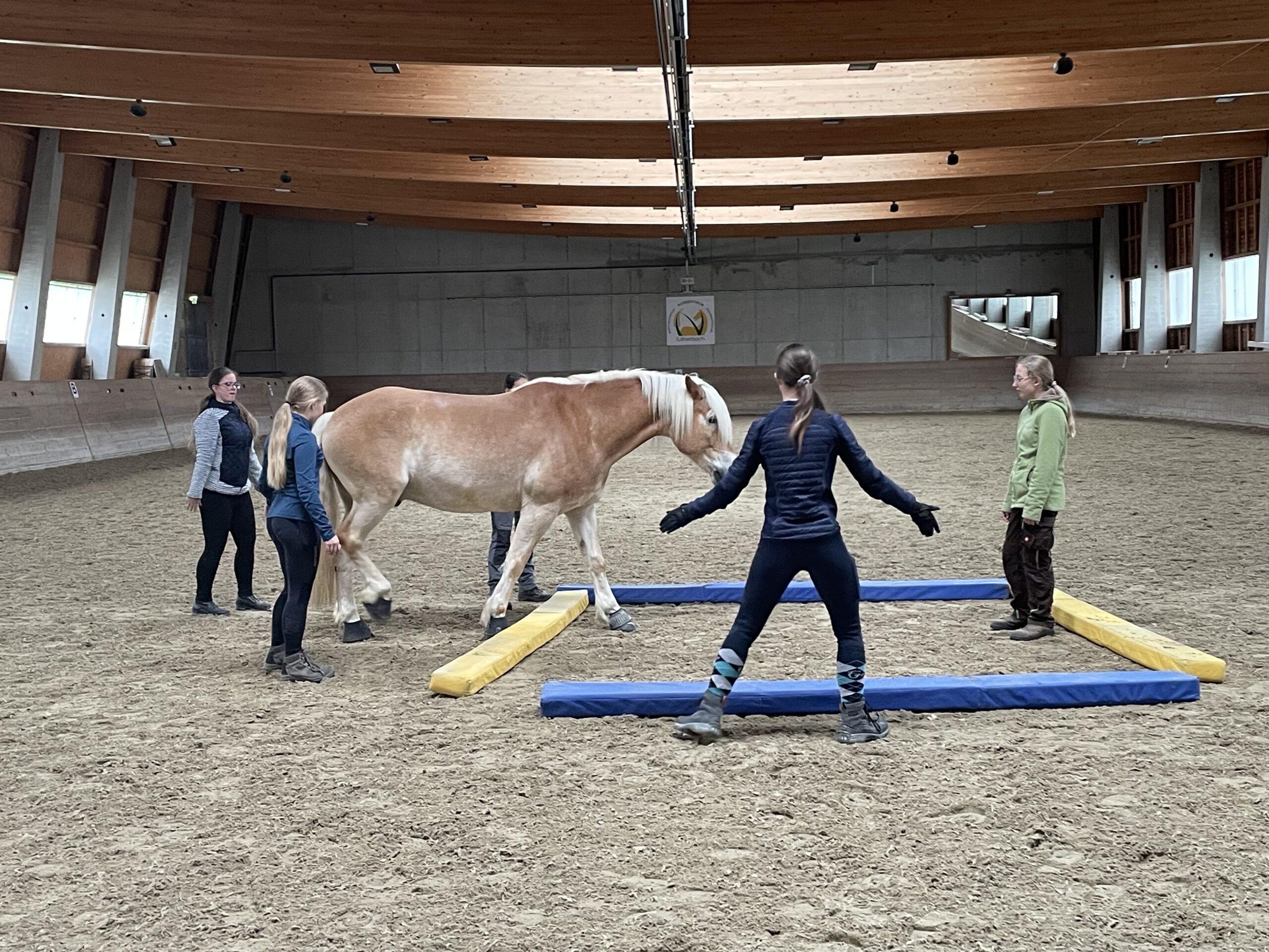 Pferdegestützter Workshop – Abendprogramm einmal anders