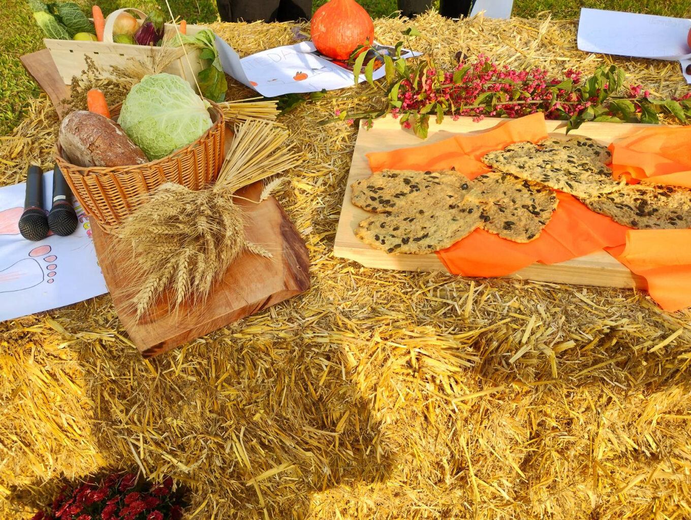 Erntedank am Norbertinum