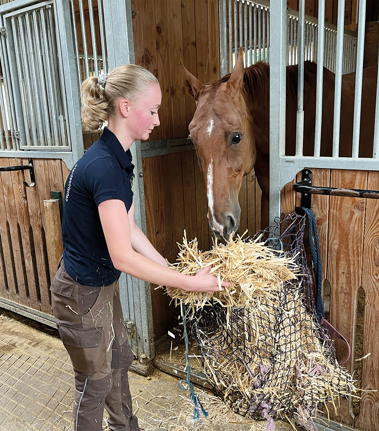 Lehrling_Pferdewirtschaft_Füttern_hoch