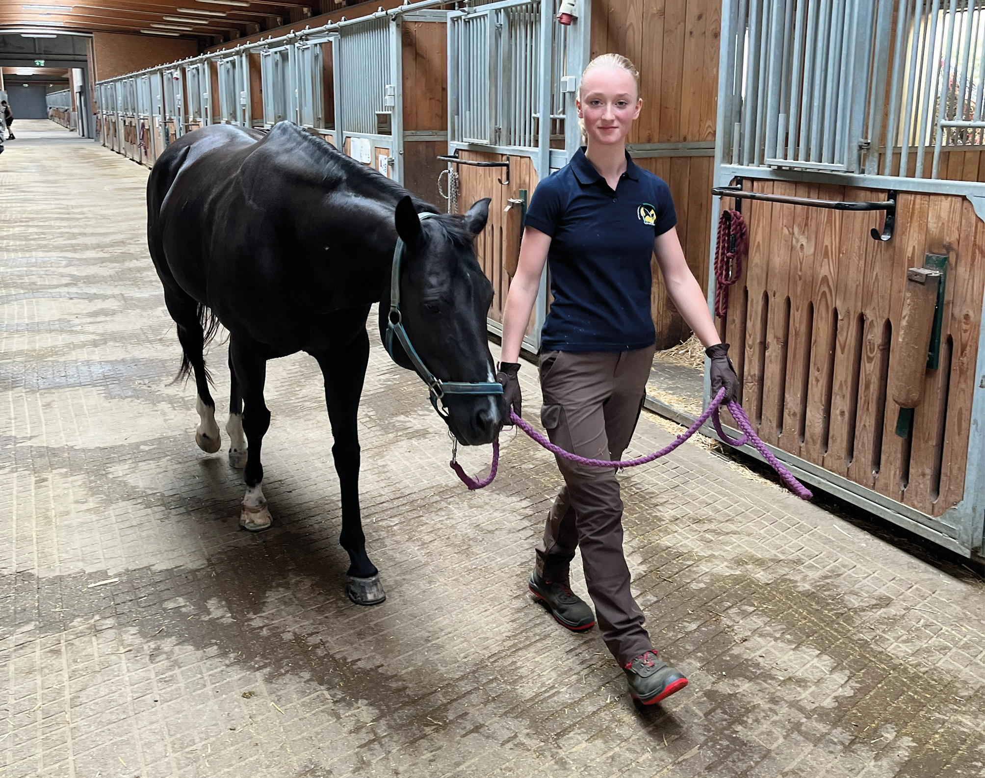 Mit Herz, Kraft und Pferdeverstand