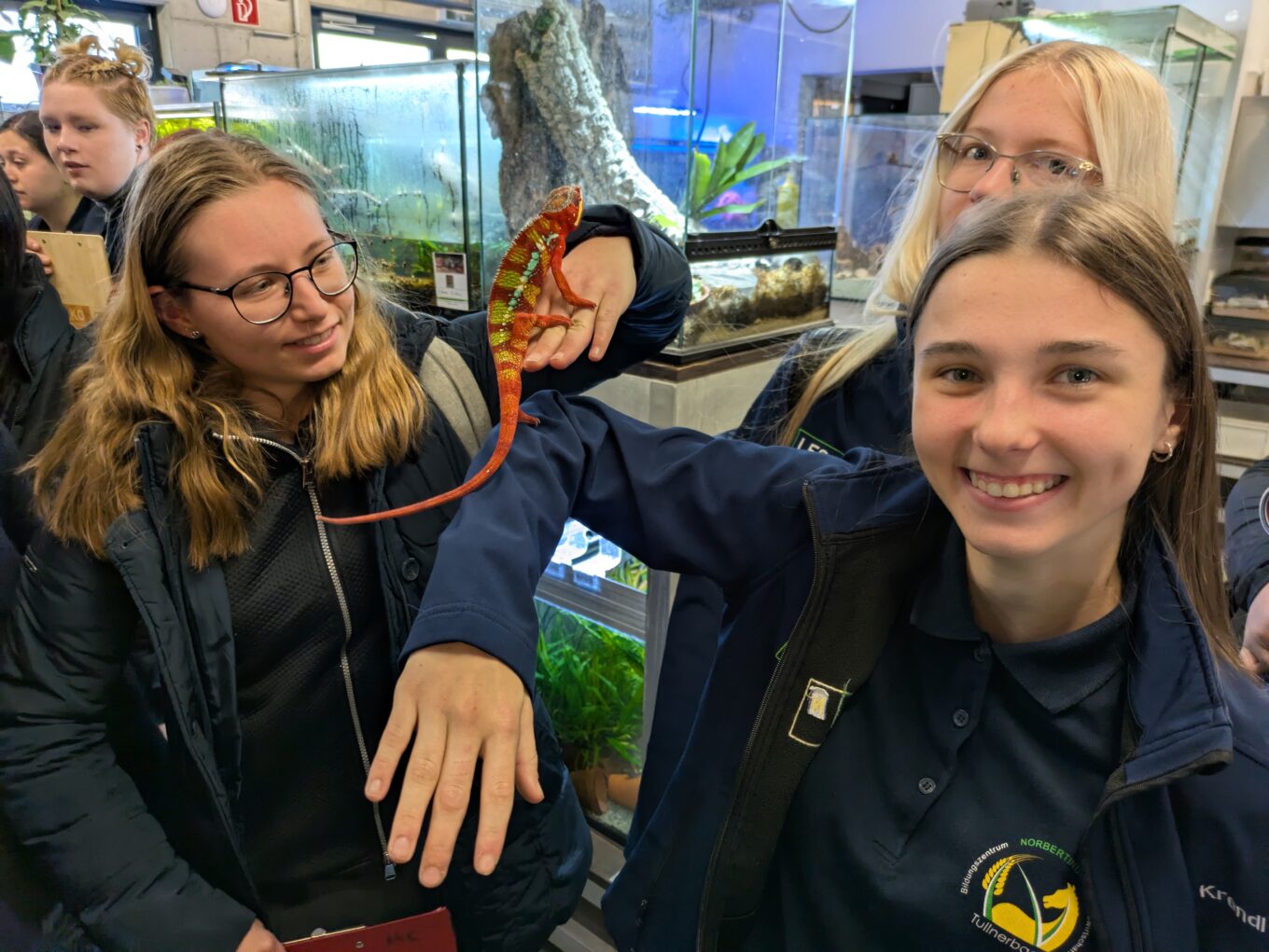 Exkursion der P4 zur LFS Hollabrunn