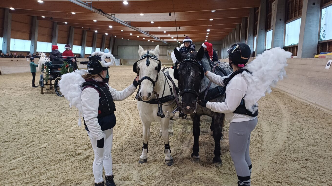 Weihnachtszauber am Norbertinum Weihnachtszauber am Norbertinum