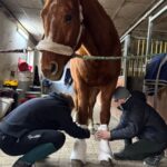 74033a15-a4b9-4586-be22-3adc86f239c6