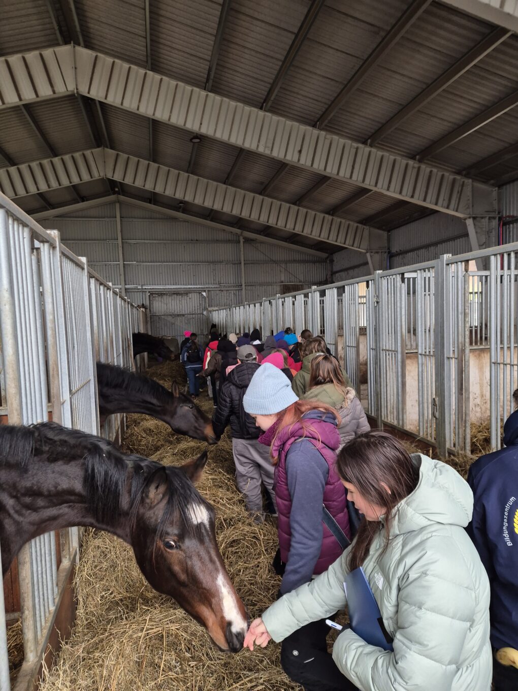 Betriebsbesichtigung der P1: Gestüt Winter & Zuchtstall Heinz