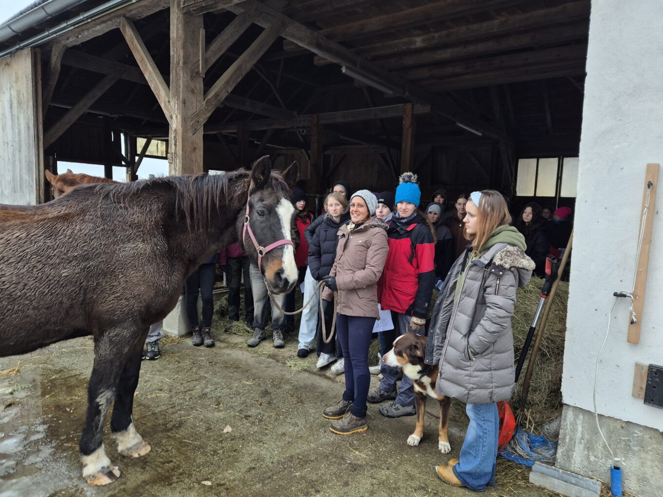Betriebsbesichtigung der P1: Gestüt Winter & Zuchtstall Heinz
