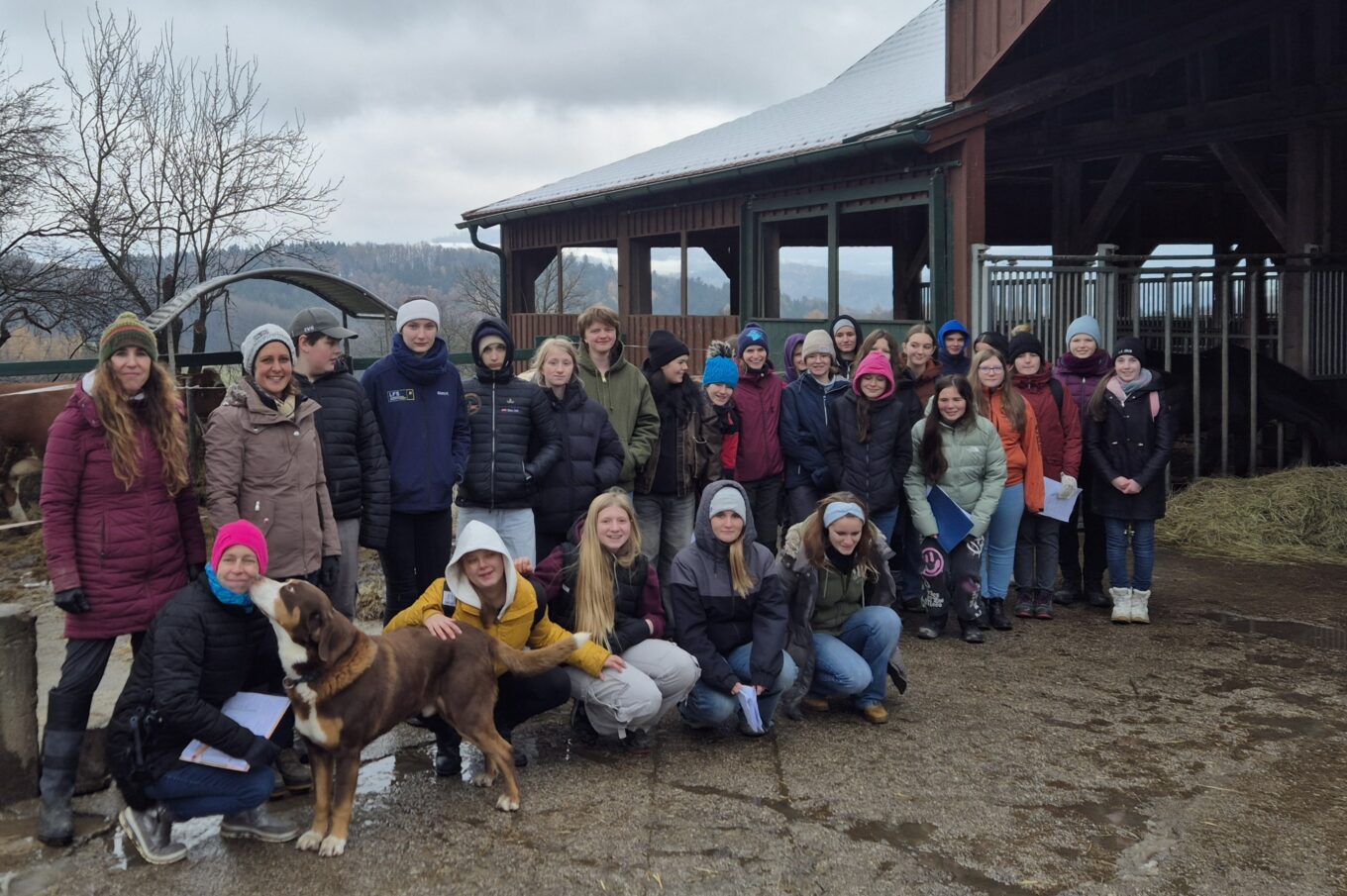Betriebsbesichtigung der P1: Gestüt Winter & Zuchtstall Heinz