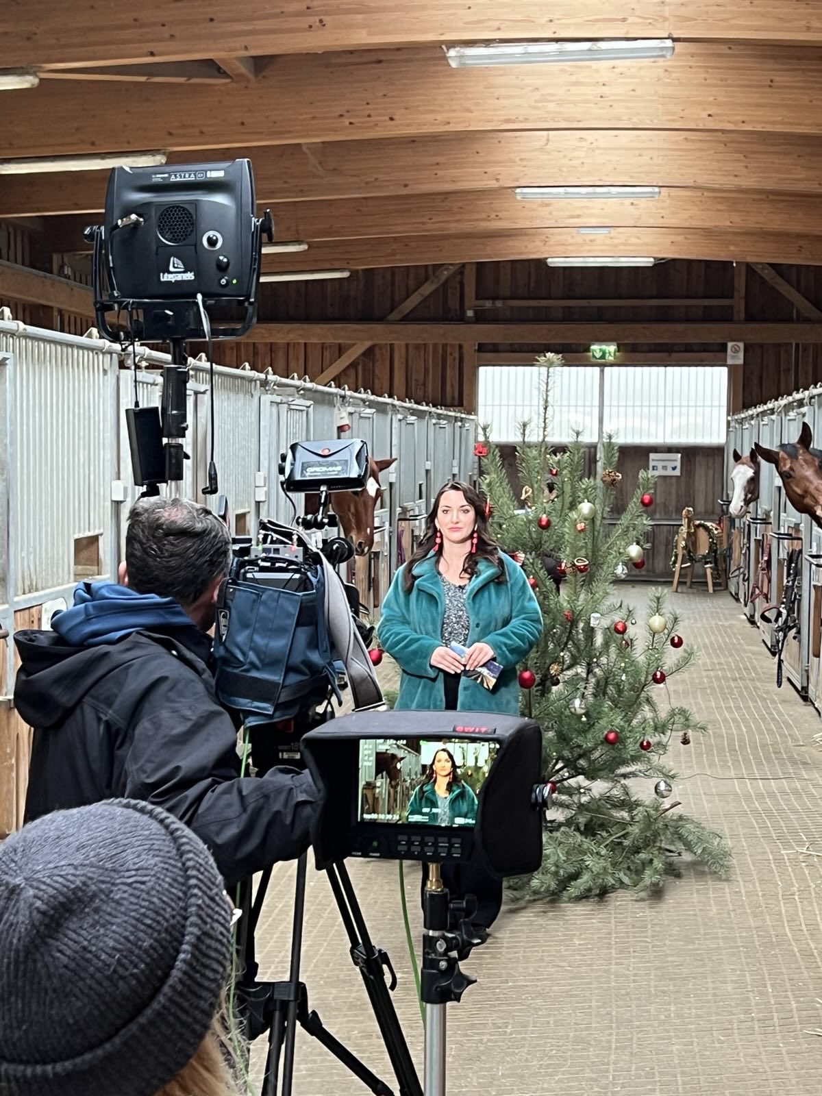 signal-2025-12-11-17-14-54-073-1-Moderatorin