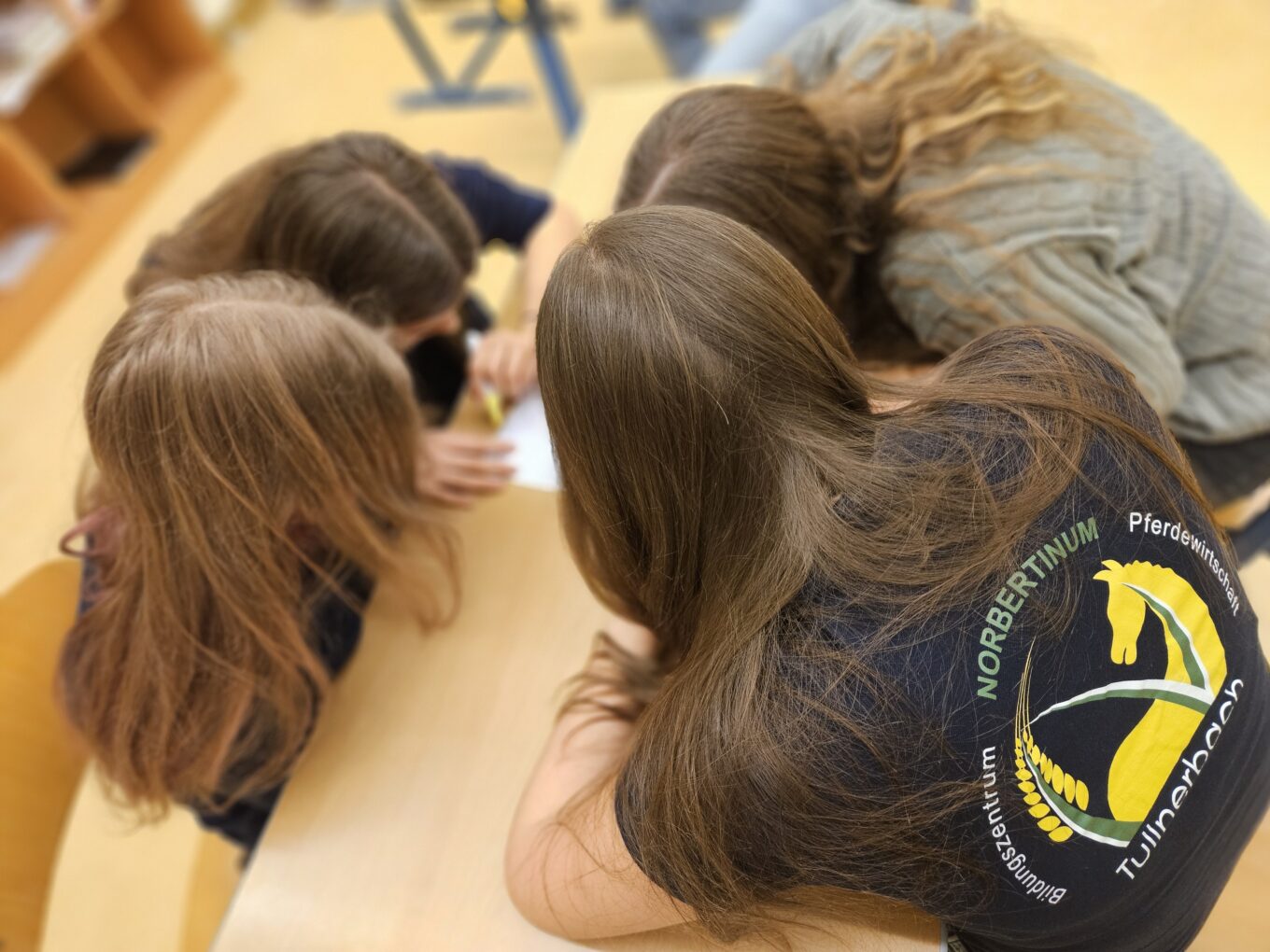 Hoch und runter, quer durchs Schulhaus – LJ Schulrallye Hoch und runter, quer durchs Schulhaus – LJ Schulrallye