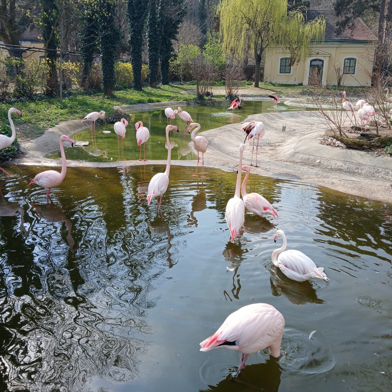 Lehrausgang P1 Schönbrunn Lehrausgang P1 Schönbrunn