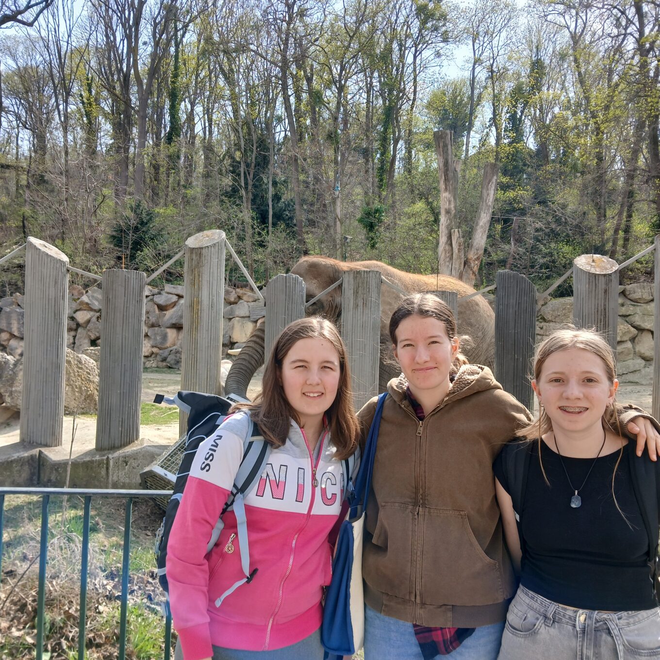 Lehrausgang P1 Schönbrunn Lehrausgang P1 Schönbrunn