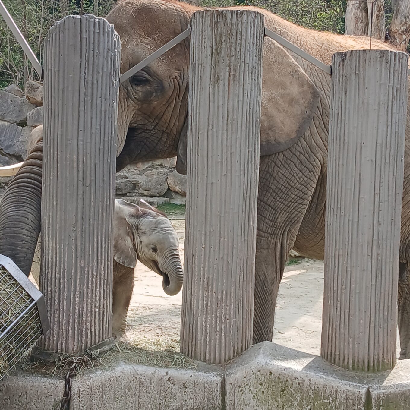 Lehrausgang P1 Schönbrunn Lehrausgang P1 Schönbrunn