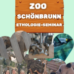 Poster-Schönbrunn-P1-2026 Poster-Schönbrunn-P1-2026