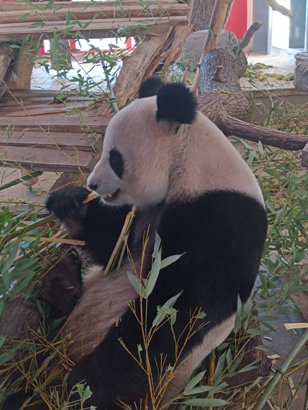 Lehrausgang P1 Schönbrunn