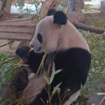 signal-2026-03-24-15-28-26-883 signal-2026-03-24-15-28-26-883