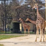 signal-2026-03-24-15-43-53-195 signal-2026-03-24-15-43-53-195