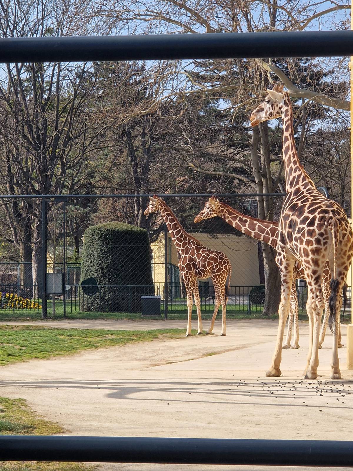 signal-2026-03-24-15-43-53-195 signal-2026-03-24-15-43-53-195