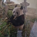 signal-2026-03-24-15-44-30-899 signal-2026-03-24-15-44-30-899