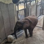 signal-2026-03-24-17-25-36-513 signal-2026-03-24-17-25-36-513