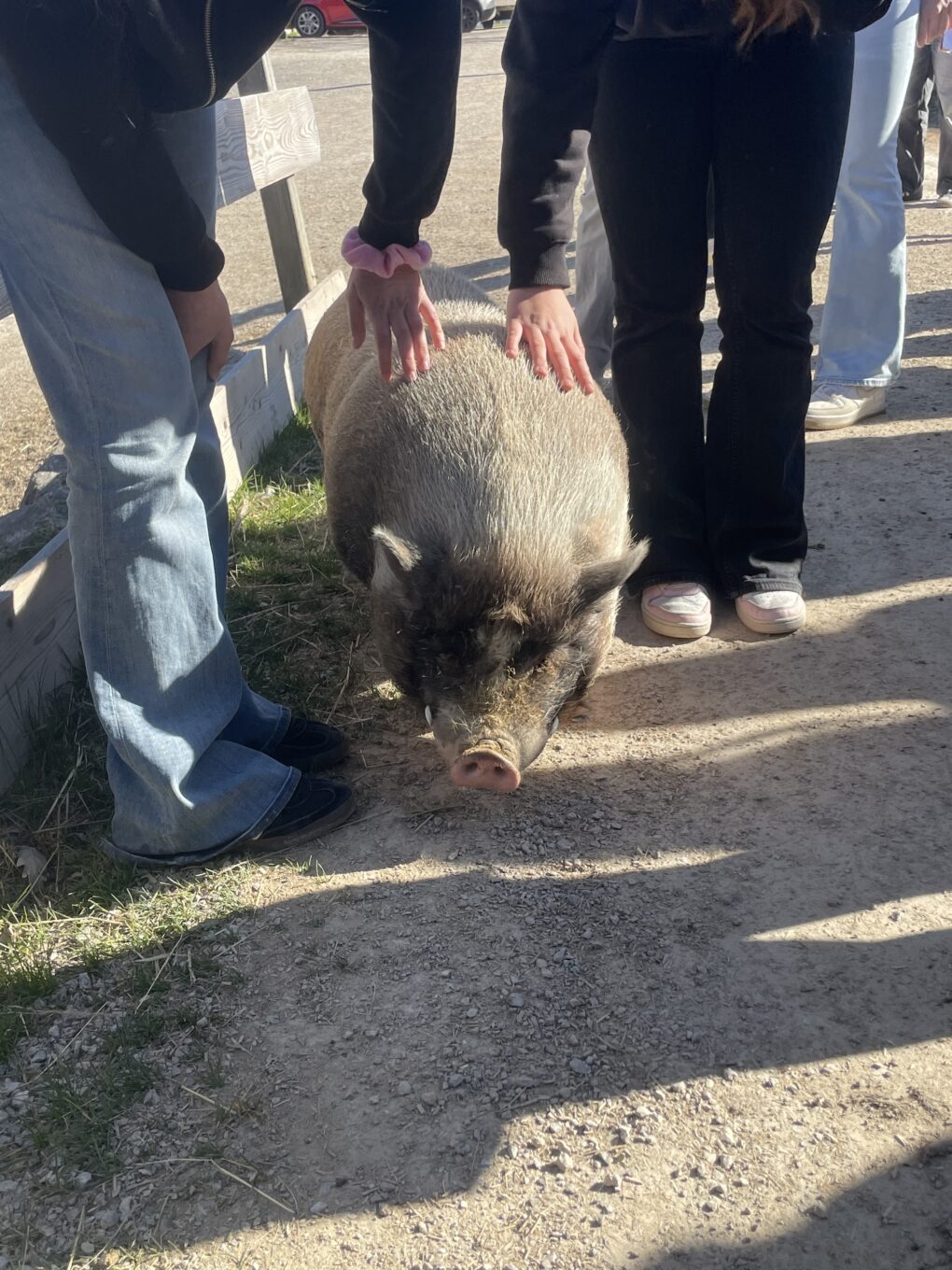 Theorie in Praxis sehen Theorie in Praxis sehen