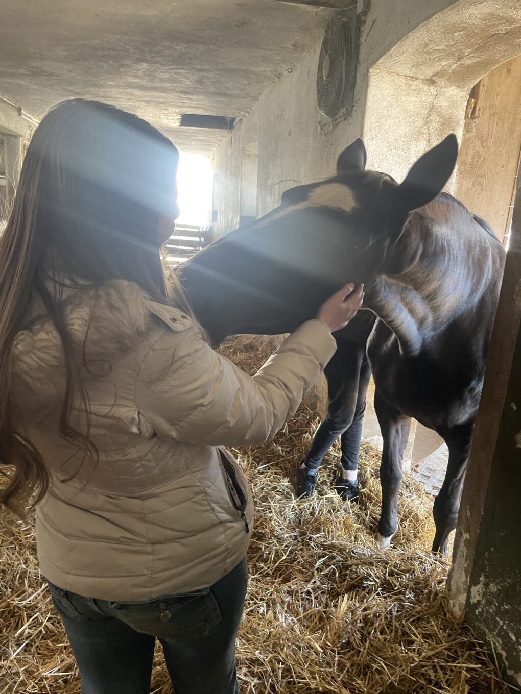 Theorie in Praxis sehen