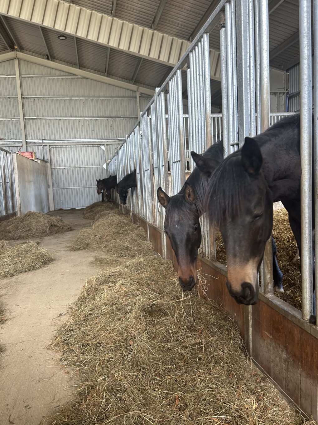 Theorie in Praxis sehen