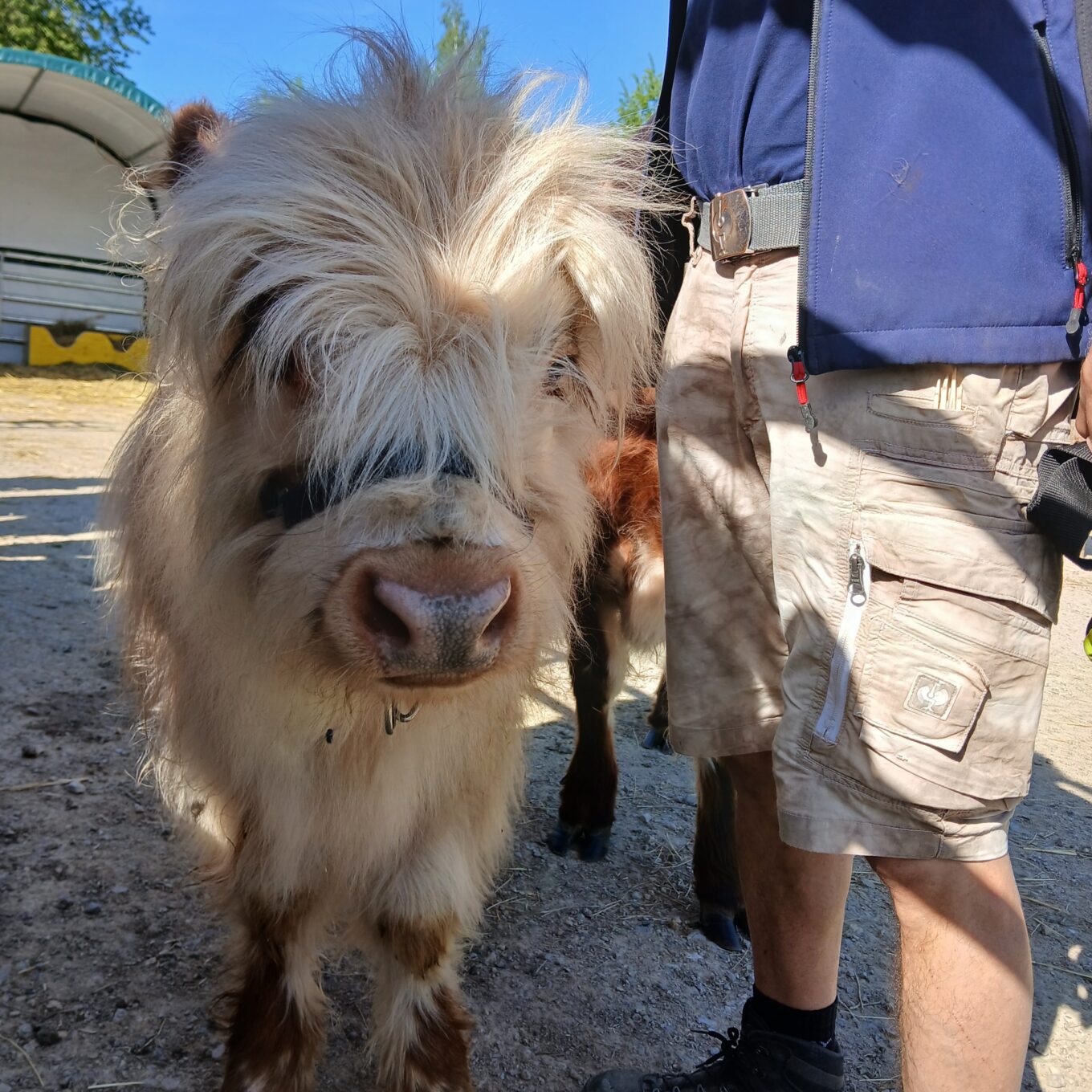 Schule? Im Tierpark! Schule? Im Tierpark!