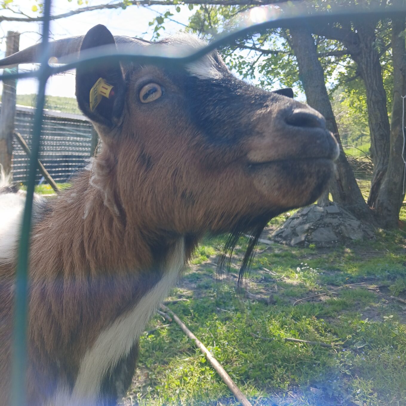 Schule? Im Tierpark! Schule? Im Tierpark!