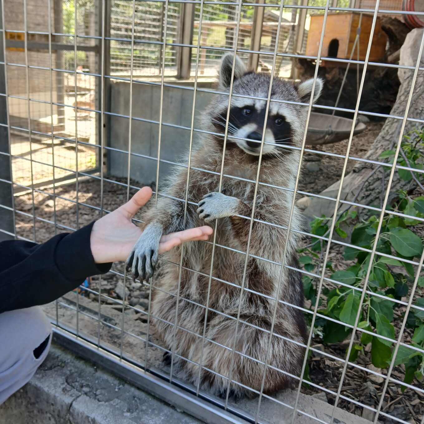 Schule? Im Tierpark! Schule? Im Tierpark!