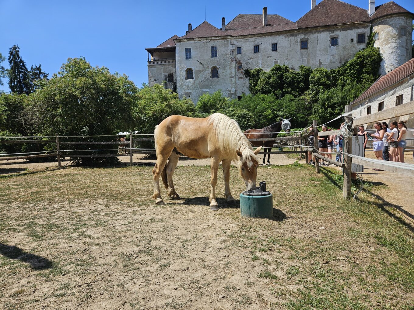 Zwischen Neon und Natur – Die 1. Klassen auf Exkursion