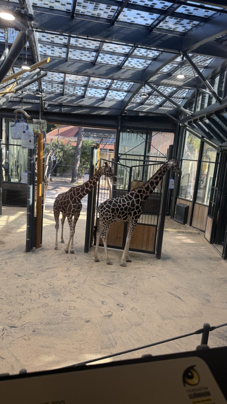 Exkursion in den Tiergarten Schönbrunn Exkursion in den Tiergarten Schönbrunn